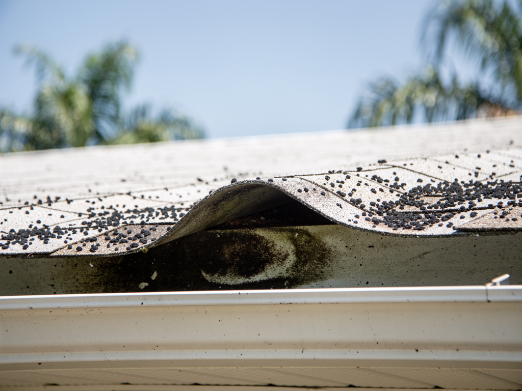 Common warning signs of roof trouble Florida homeowners should know